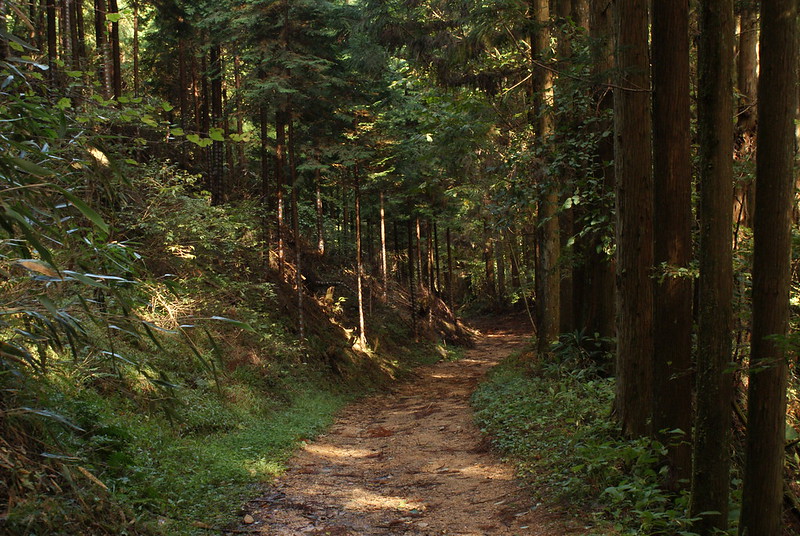 עמק קיסו, דרך הנקסנדו